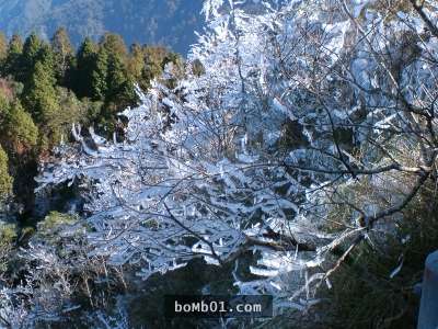 霸王寒流的影響下各地瑞雪紛飛，一片雪白的美景讓人不敢相信自己在台灣啊！