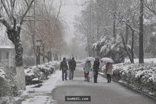 霸王寒流的影響下各地瑞雪紛飛，一片雪白的美景讓人不敢相信自己在台灣啊！