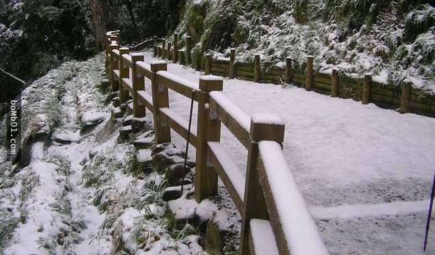 霸王寒流的影響下各地瑞雪紛飛，一片雪白的美景讓人不敢相信自己在台灣啊！