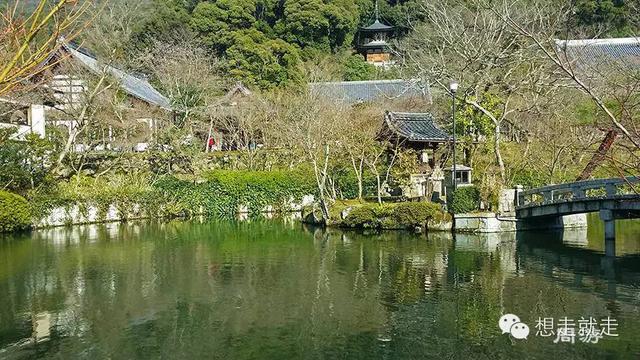 待到櫻花爛漫時，約上三五好友去日本吧！