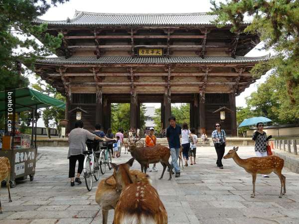 【日本非去不可的城市！】網友票選10大最愛去旅遊的城市！去過這些地方才算是去過Japan喲~