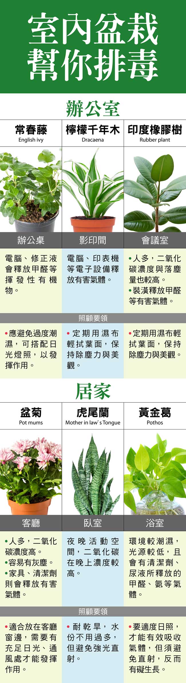 盆栽界的「超級負離子機」！家裡只要養一盆，就能把壞空氣吸光光！！