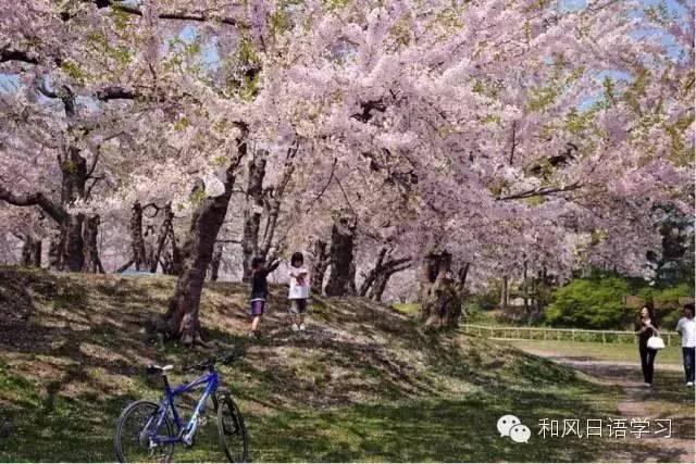 一年四季那麼美，什麼時候去日本最合適？