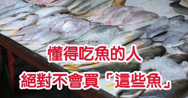 懂得吃魚的人絕對不會買「這些魚」！看一眼，別再把細菌吃下肚...