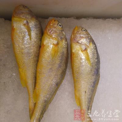 懂得吃魚的人絕對不會買「這些魚」！看一眼，別再把細菌吃下肚...