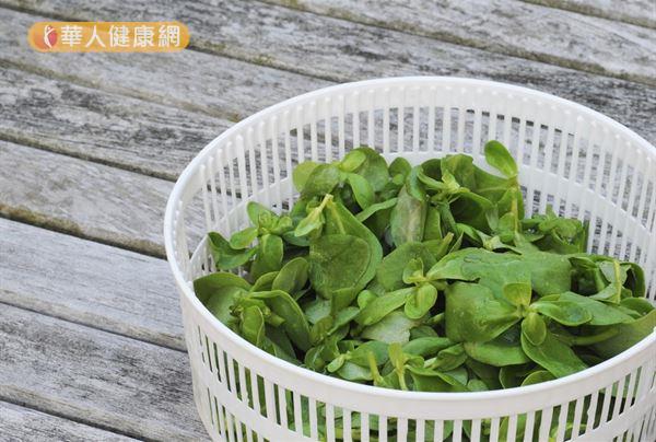 改善泌尿道感染！超級野菜「豬母奶」好料理