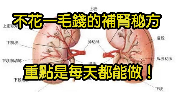 用藥補腎的方法都弱爆了！不花一毛錢的「補腎」秘方，百試百靈，每天都能做！