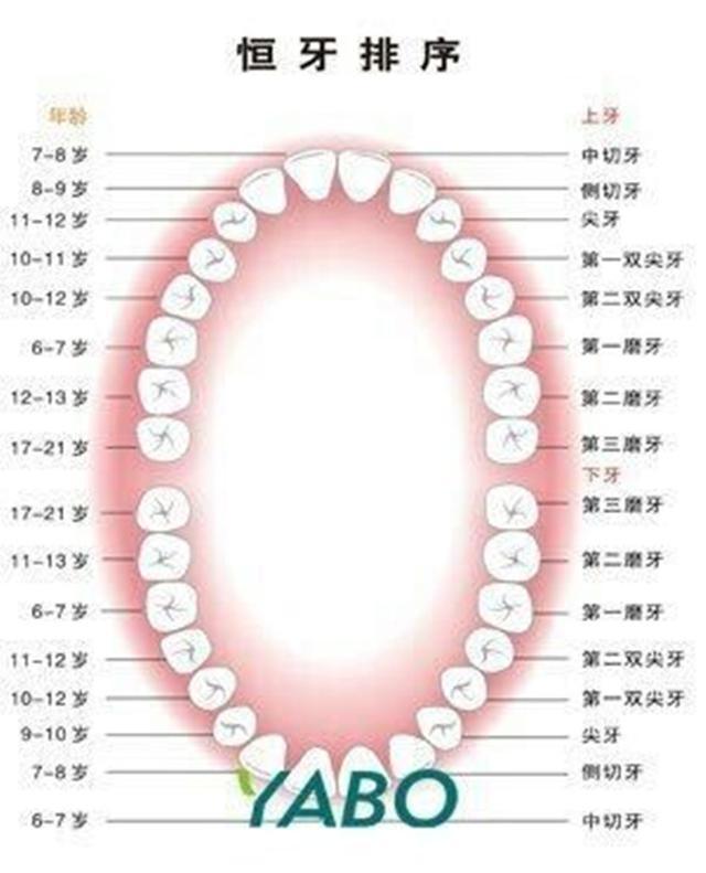 孩子蛀牙都是父母的錯，為啥不帶娃去做窩溝封閉！