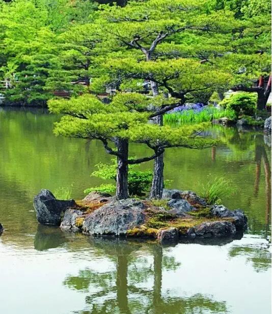 私家庭院，理想的樂園