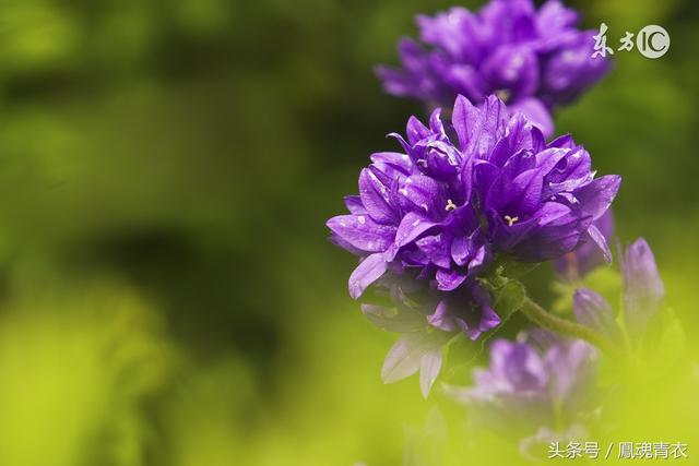 我們可以缺錢，但不能缺德（寫的太好了）