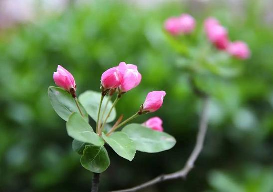 女人，你為什麼不“生氣”！