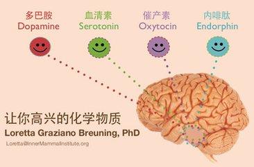 腸很聰明，腦是笨蛋：肥胖、疾病、衰老等均由腸子決定