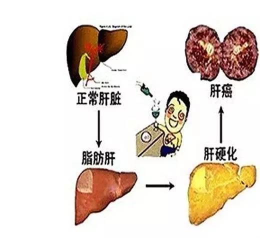 肝好，一切都好，肝差，未老先倒，肝淨，肌膚柔嫩