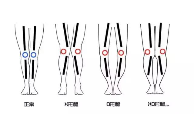 穿對褲子，你也可以擁有筷子腿