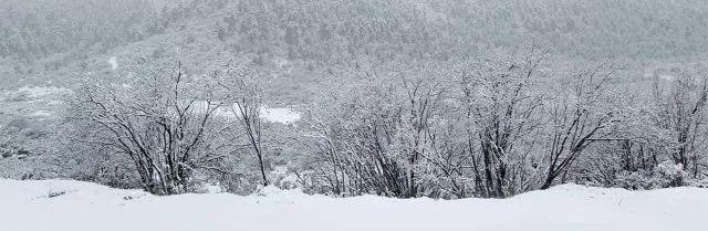 小雪｜十月中雪未盛平衡陰陽適當進補