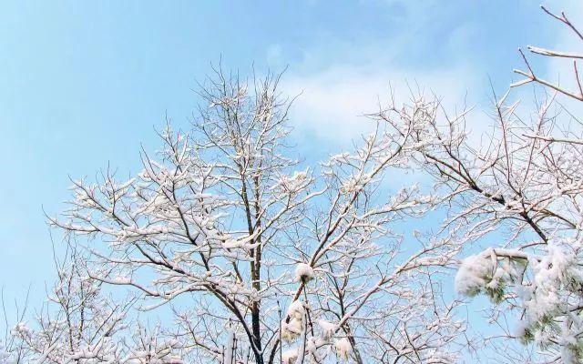 小雪｜十月中雪未盛平衡陰陽適當進補