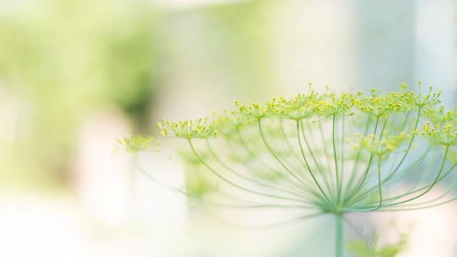 人生，生命最重要