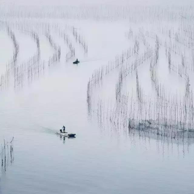 人生至簡，盡享安閒之美