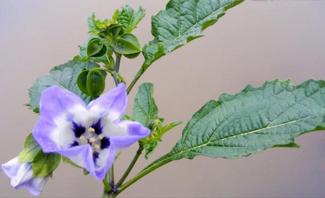 與小人相處，別碰這五個底線，否則麻煩不斷！