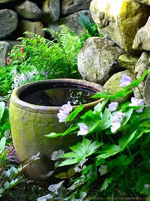 有個院子真好，種上瓜果蔬菜