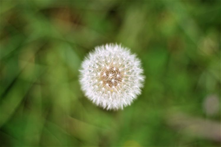 射手座憑什麼總能吸引異性的關注？