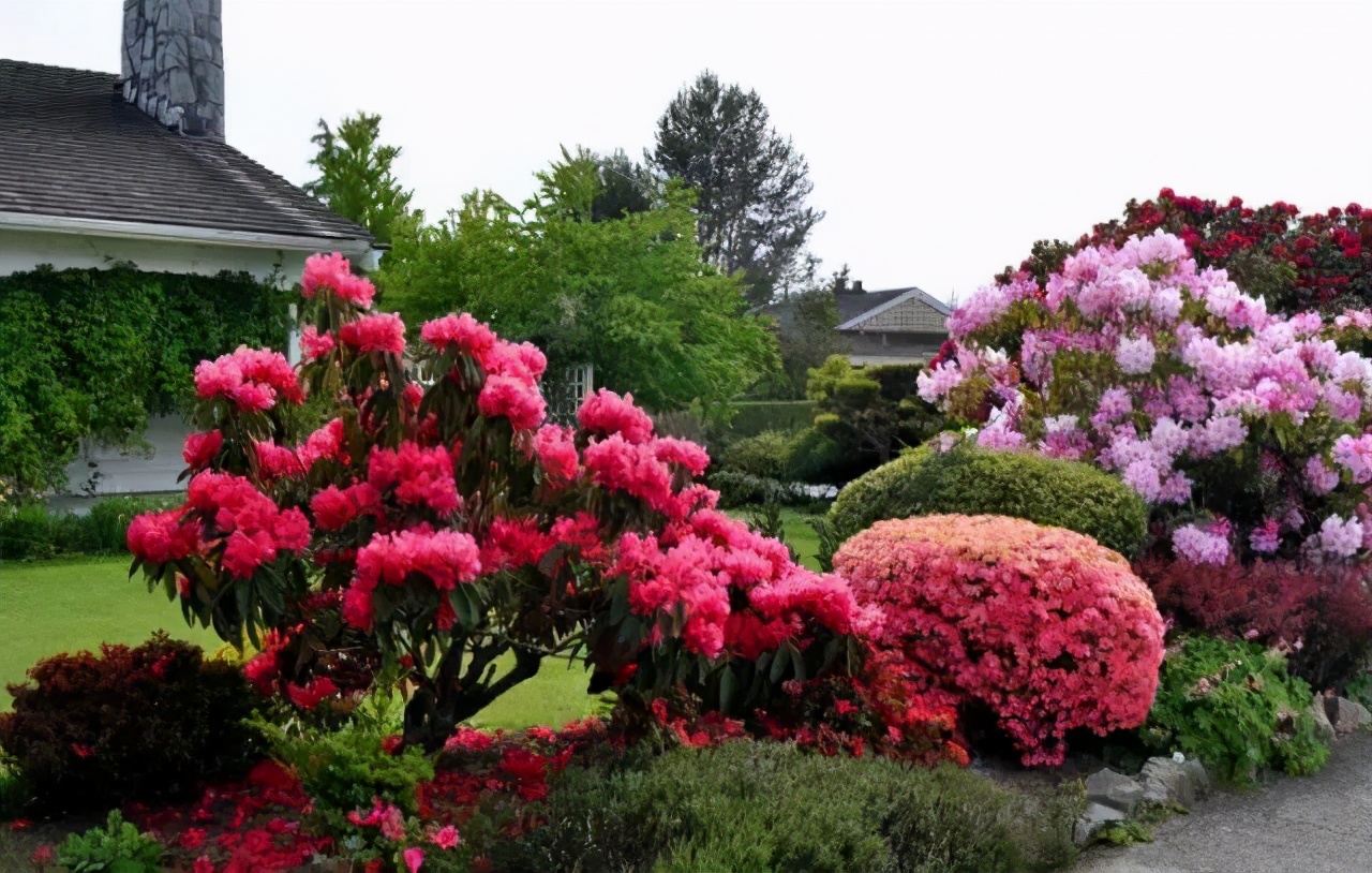 极品庭院花园景观