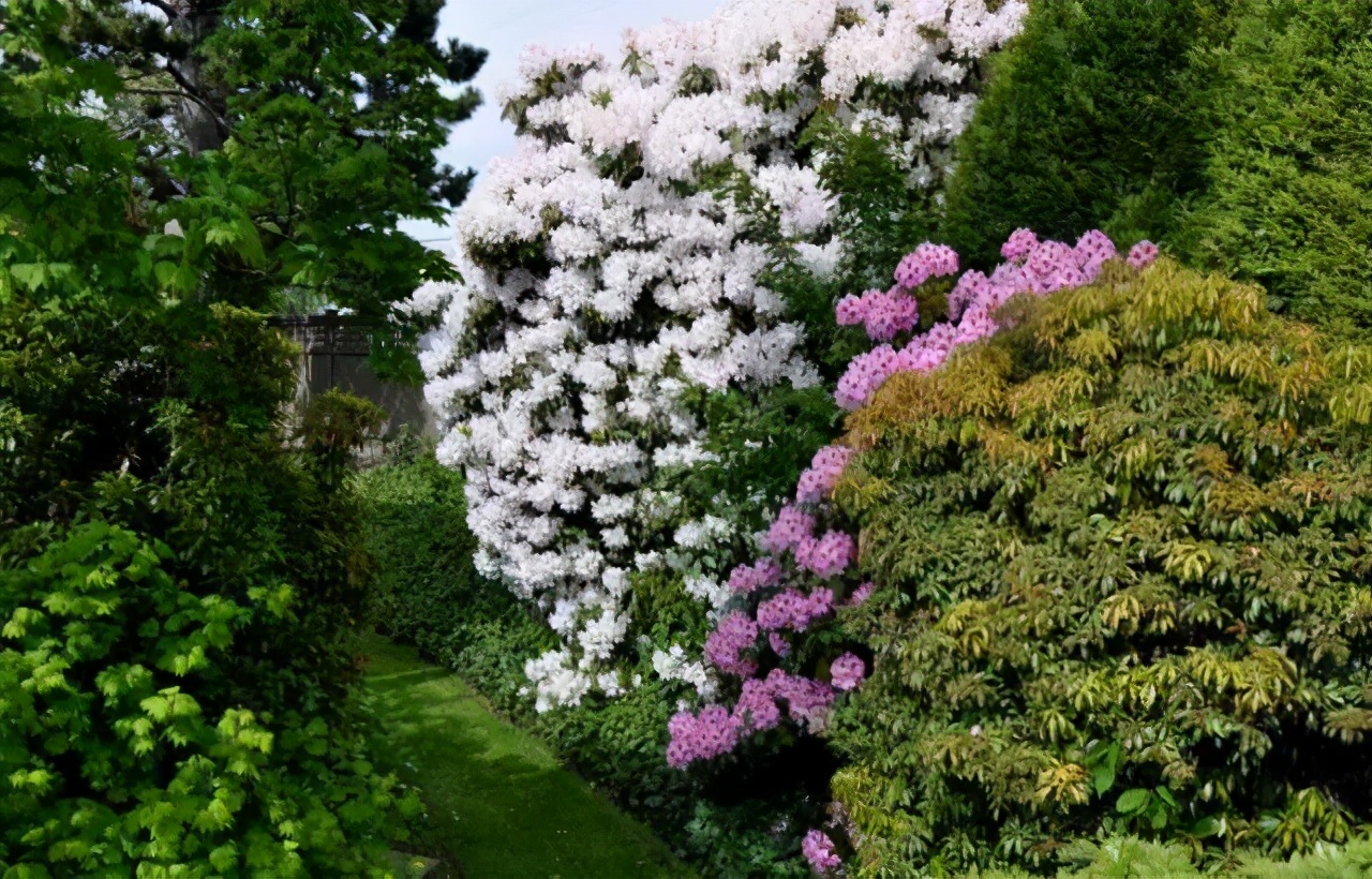 极品庭院花园景观