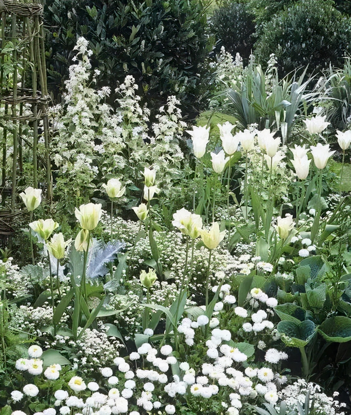 花園植物配色魔法學，你get到了嗎？