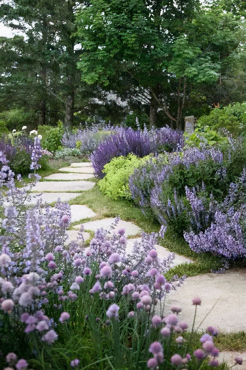 “植物配置”6大訣竅，參透這6點，助你打造一座真正的花園