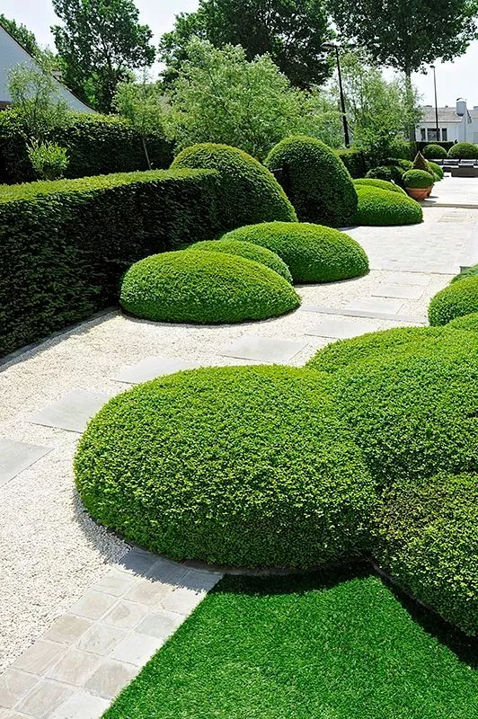 “植物配置”6大訣竅，參透這6點，助你打造一座真正的花園