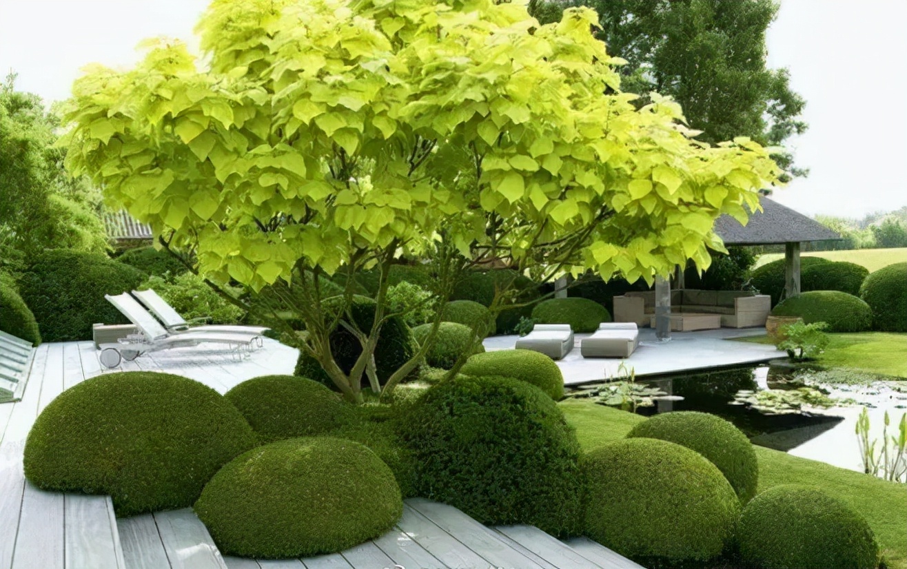 “植物配置”6大訣竅，參透這6點，助你打造一座真正的花園