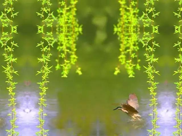 等你，在第一場春雨中