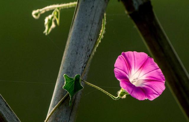 一個吃盡苦頭的人幡然醒悟：人生，原來拼的只有這3樣東西