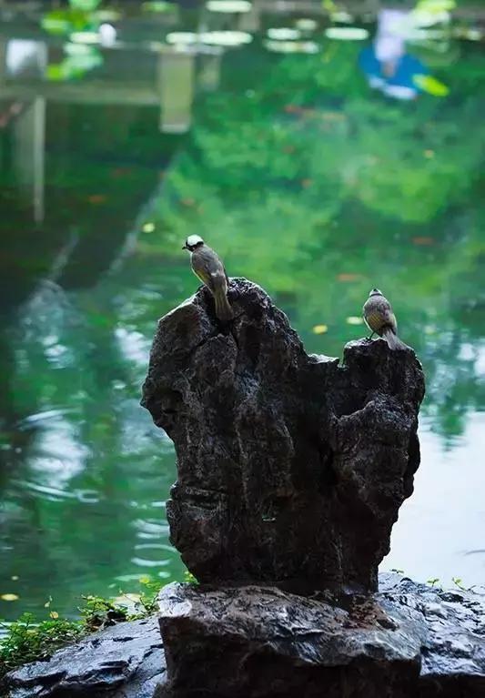 「圖文」竹盡有室，室欲幽！