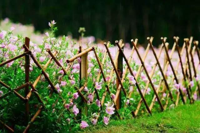 宅一個院子| 籬笆、小徑、花園…如果有個院子，該有多好！